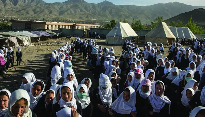 Different-Education-opportunities-for-Pashtuns-in-Australia